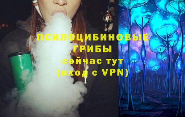 прущий лед Арсеньев