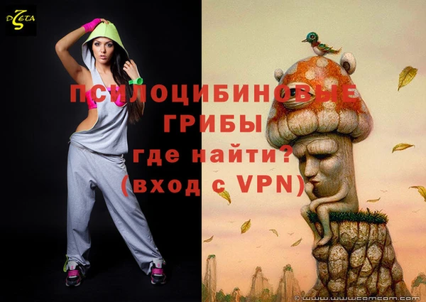 прущий лед Арсеньев